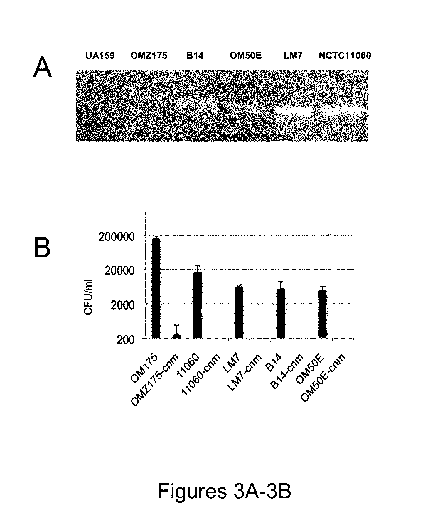 Method for predicting and preventing cardiovascular disease