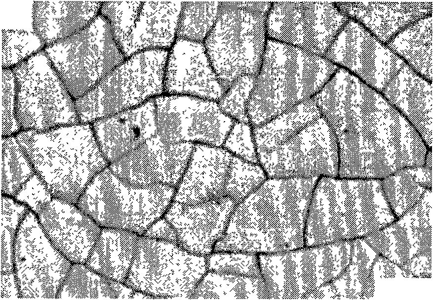 Method for clearly displaying low carbon low alloy steel austenite crystal