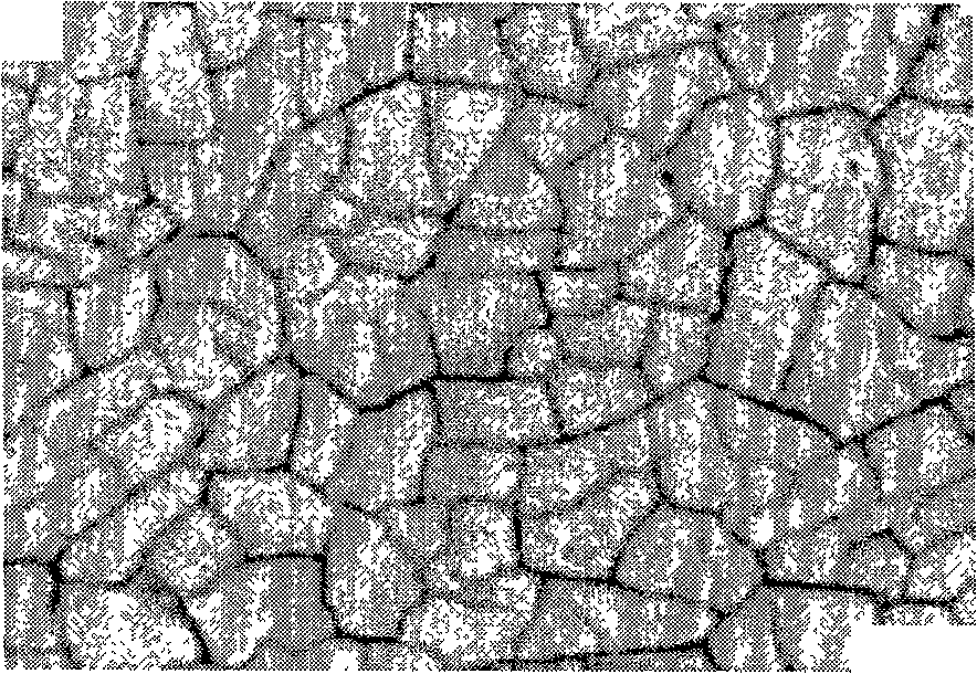 Method for clearly displaying low carbon low alloy steel austenite crystal