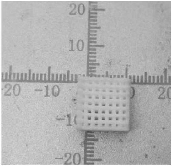 A 3D printed bone tissue engineering scaffold with slow-release and osteogenesis-promoting functions, its preparation method and application