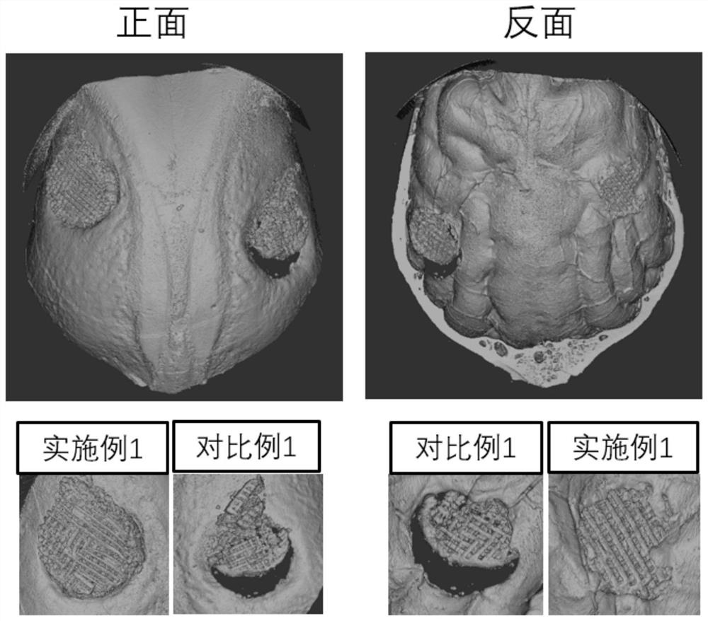 A 3D printed bone tissue engineering scaffold with slow-release and osteogenesis-promoting functions, its preparation method and application