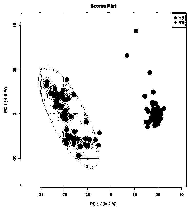 Mining of mass spectrometry data of red ginseng and screening method of specific markers