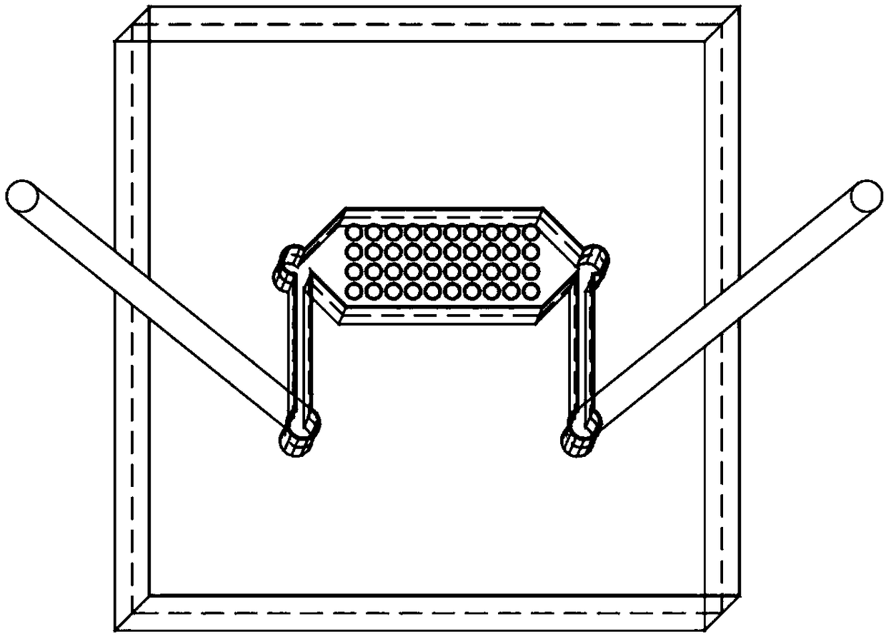 Digital microarray organ chip and application thereof