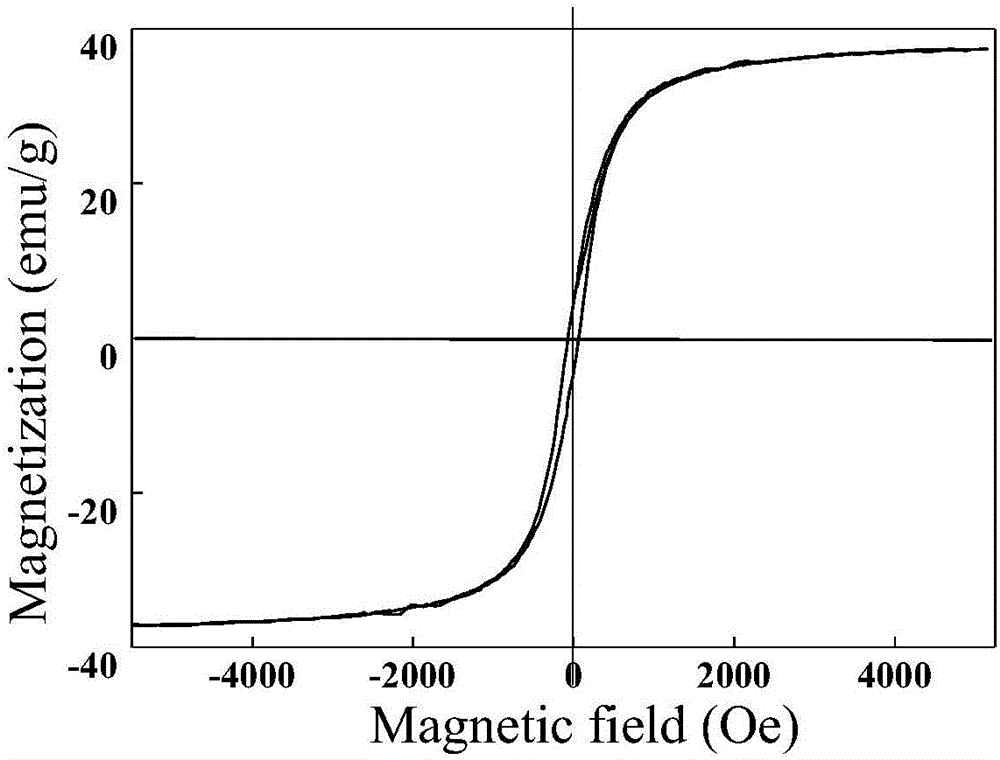 Preparation method of magnetic molecular imprinted nanometer material