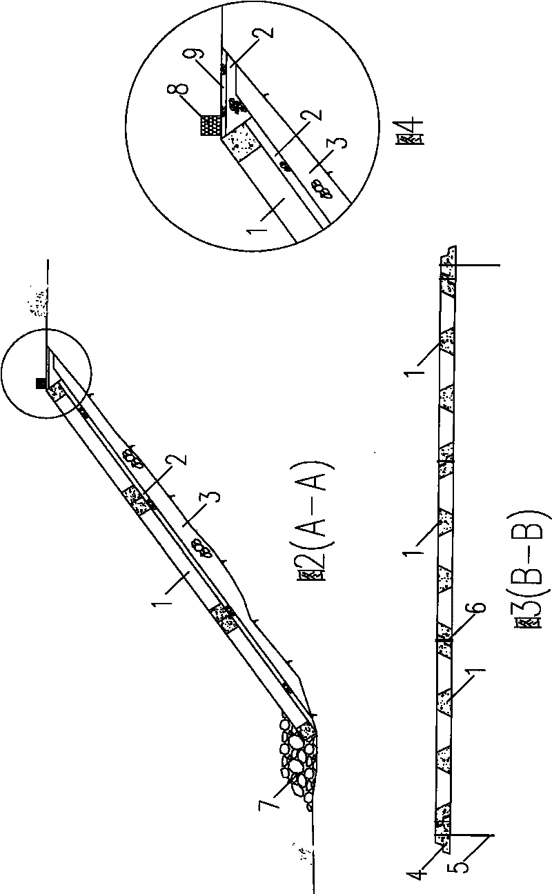 Assembled protective slope structure and construction method thereof