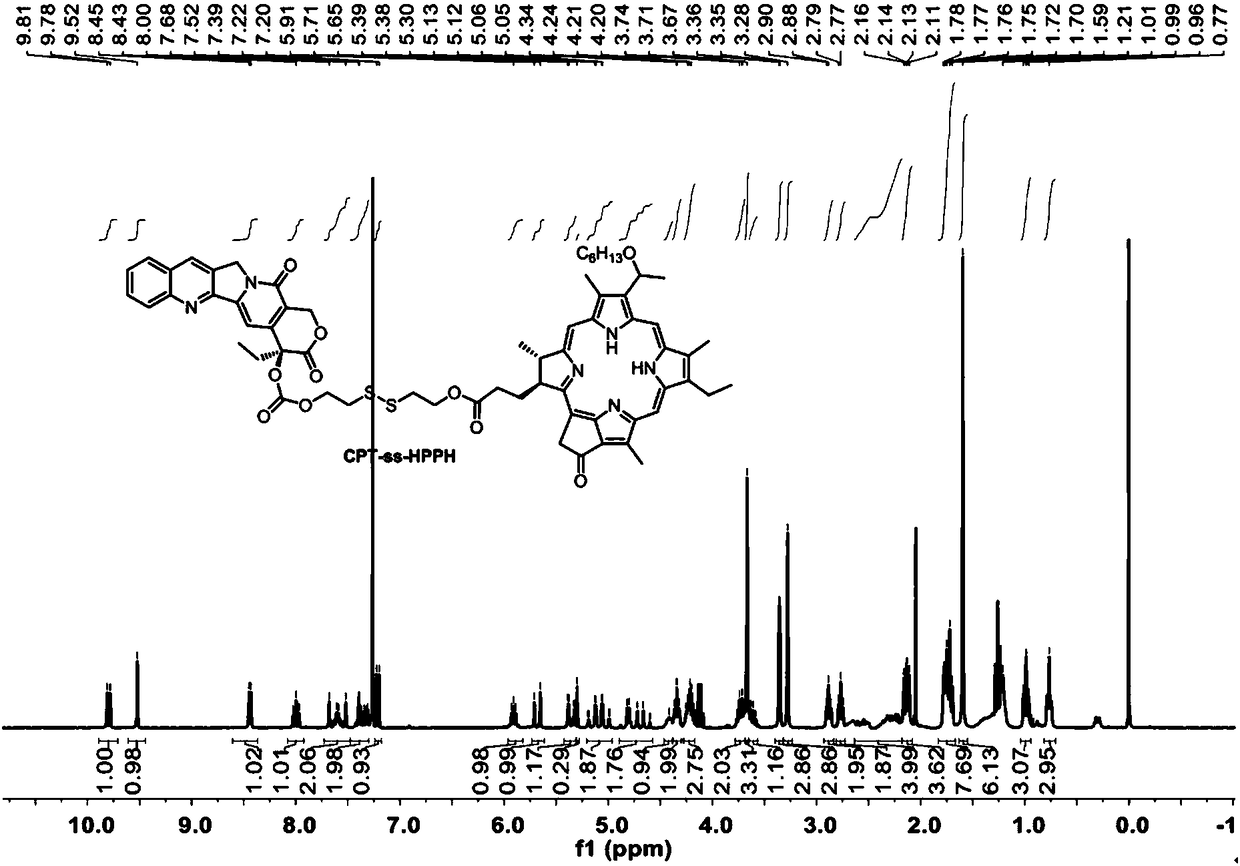 Heterodimer multifunctional prodrug based on camptothecin and preparation method and application of heterodimer multifunctional prodrug