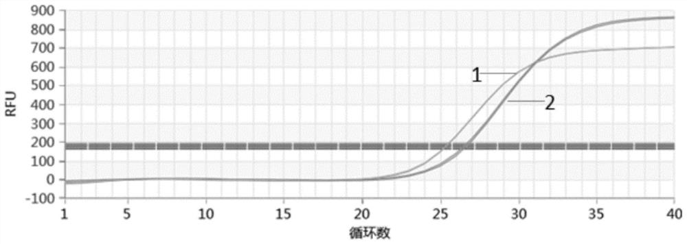 Nucleic acid release liquid, kit and nucleic acid release method