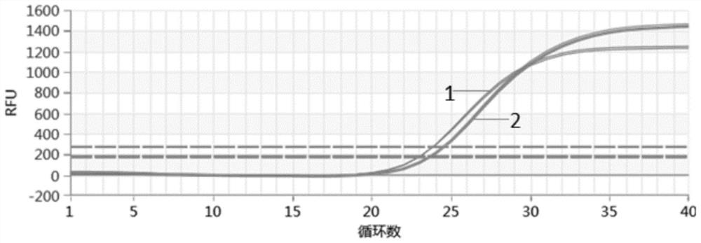 Nucleic acid release liquid, kit and nucleic acid release method