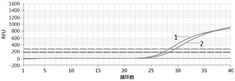 Nucleic acid release liquid, kit and nucleic acid release method