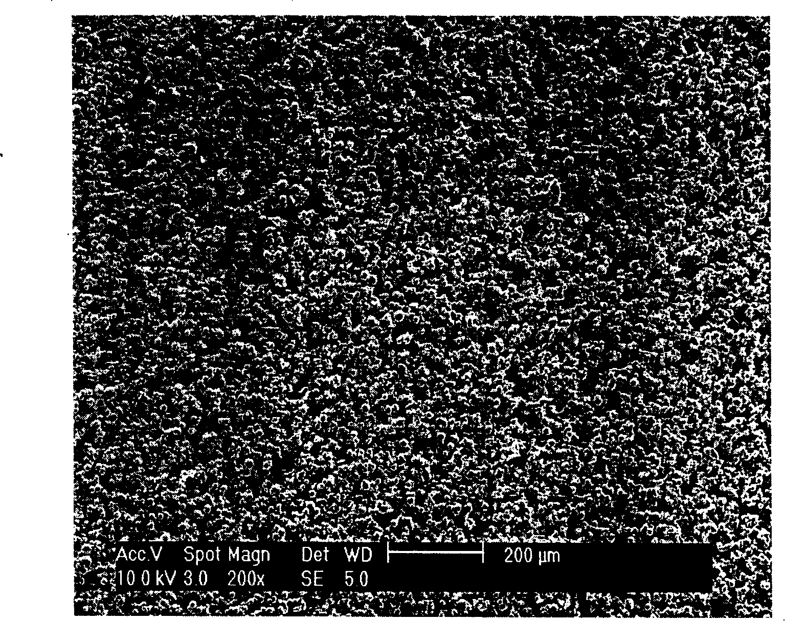 Carbon plasm for electrode of dye sensitization solar battery pair and its making method