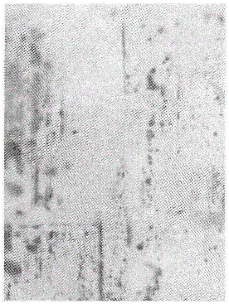 Interface processing agent and preparation method thereof