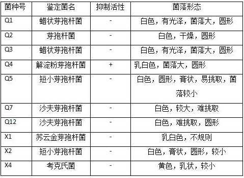 Bacillus amyloliquefaciens q4 strain with high production of α-glucosidase inhibitor, functional rice wine and preparation method