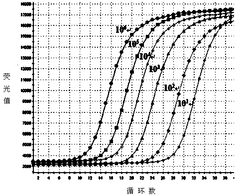 SYBR Green I Real-time PCR method for quickly detecting and indentifying Hantaan virus infection