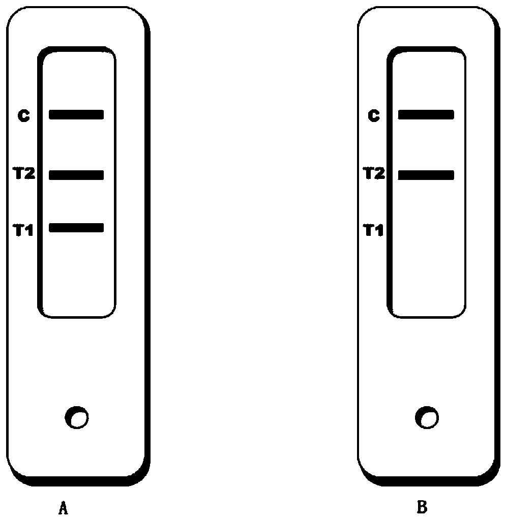 Detecting method for detecting methylation of specific gene