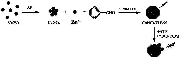 Method for detection freshness of aquatic products via fluorescence of adenosine triphosphate (ATP)