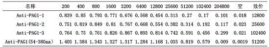 Milk caw PAG1 (Pregnancy-associated glycoprotein 1) polypeptide, and polyclonal antibody and application thereof