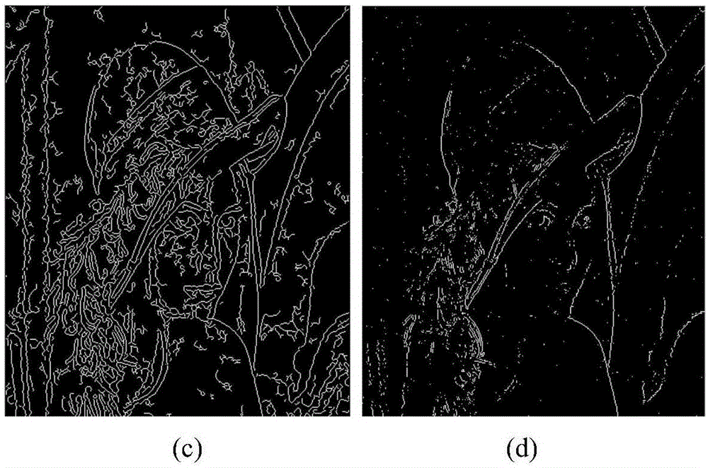 Four-order partial differential equation image denoising method based on mathematical morphology