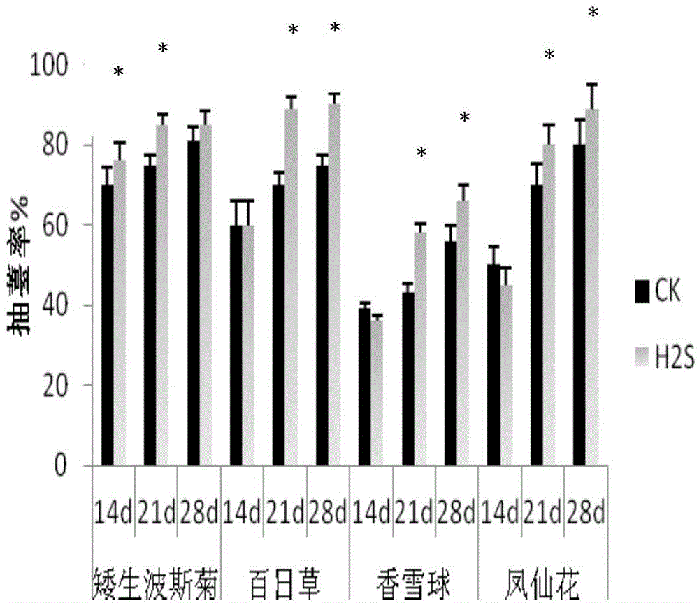 New application of sodium hydrosulfide for supplying hydrogen sulfide and promoting blooming of flowers and prolonging flowering phase