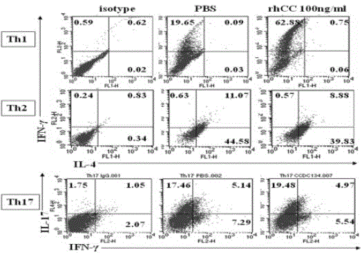 Application of human cell factor CCDC134 to autoimmune diseases