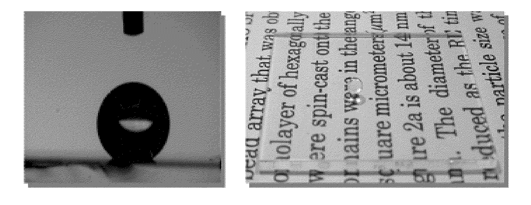 Fabrication method for functional surface