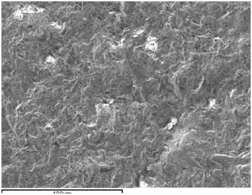 Technological method for removing plasma spraying NiAl coatings