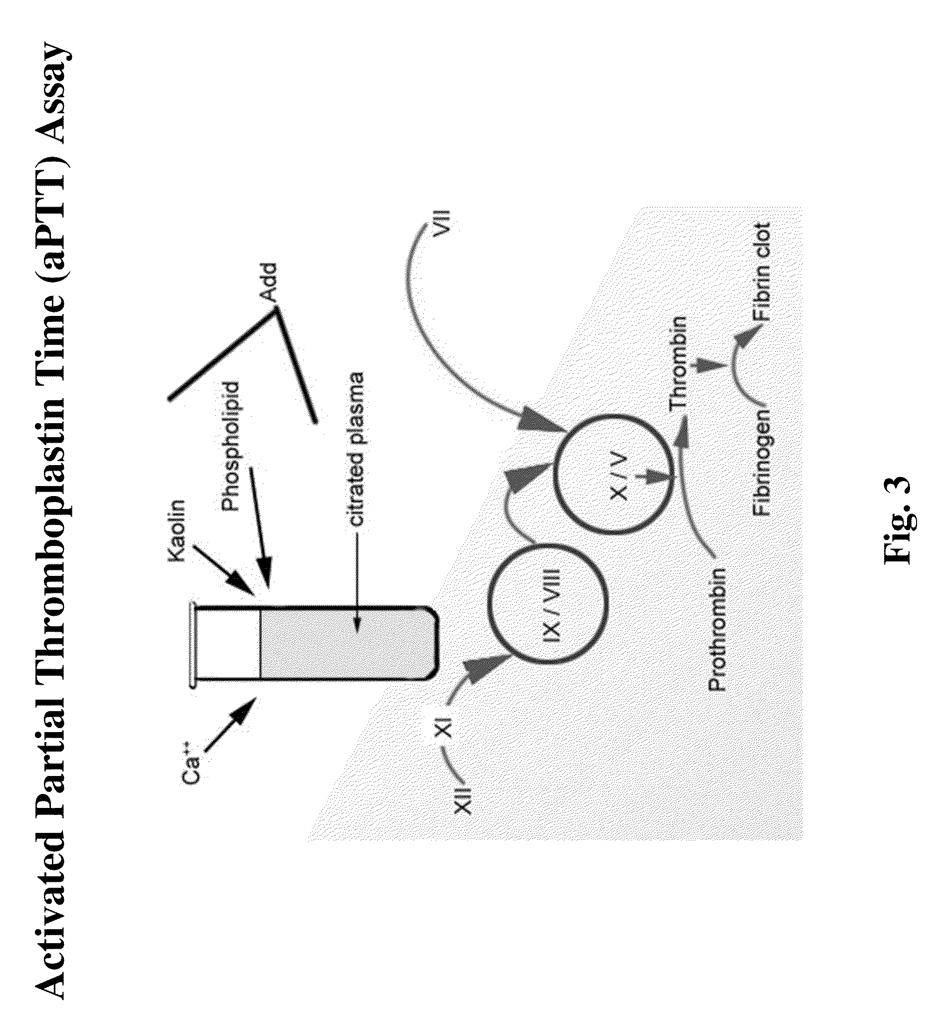 Methods and compositions for treating bleeding disorders