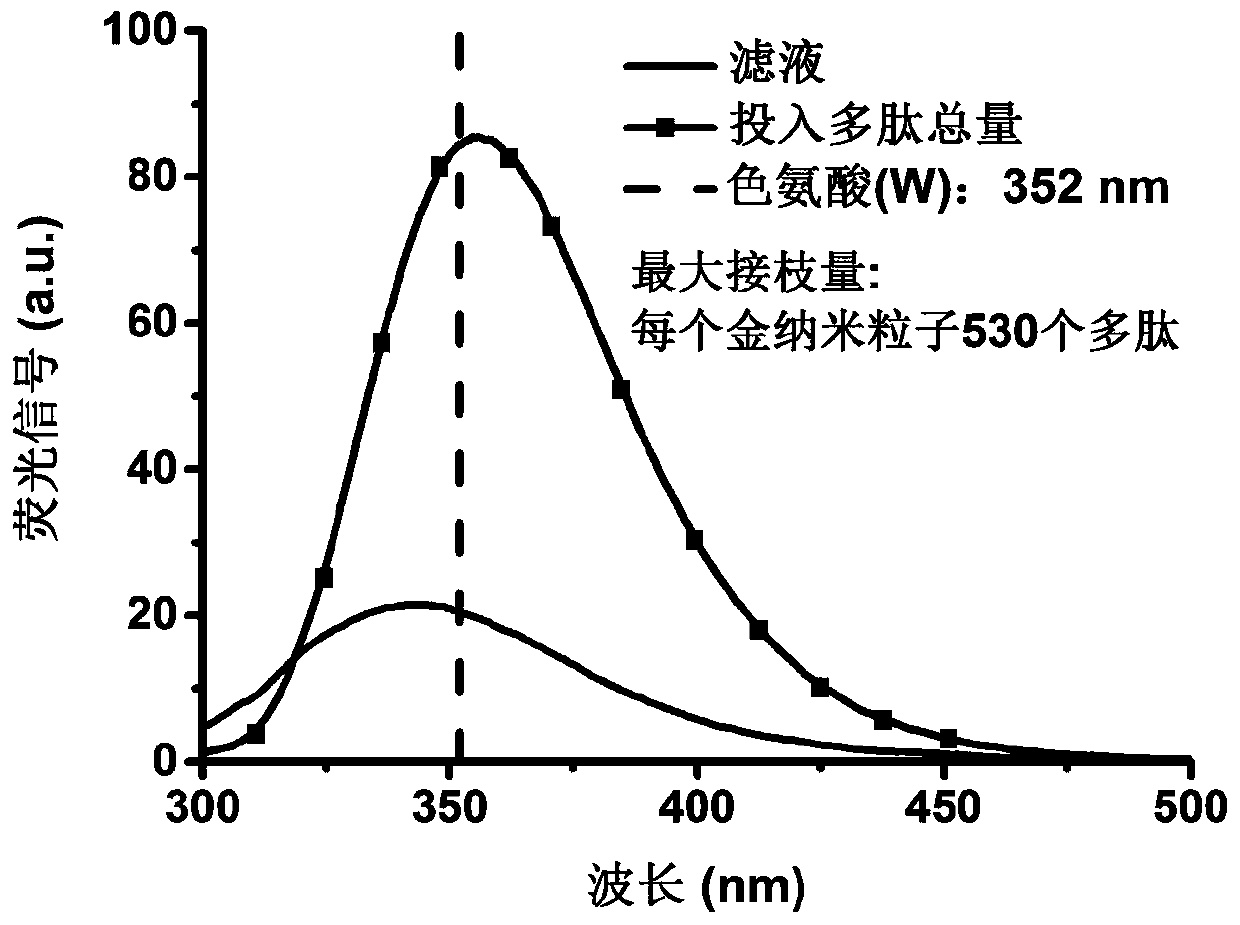 Preparation method and application of gold nanoparticle based nano-enzyme