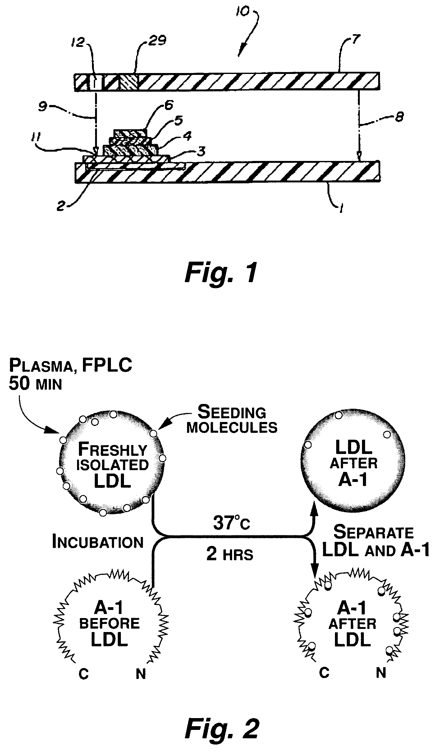 Functional assay of high-density lipoprotein