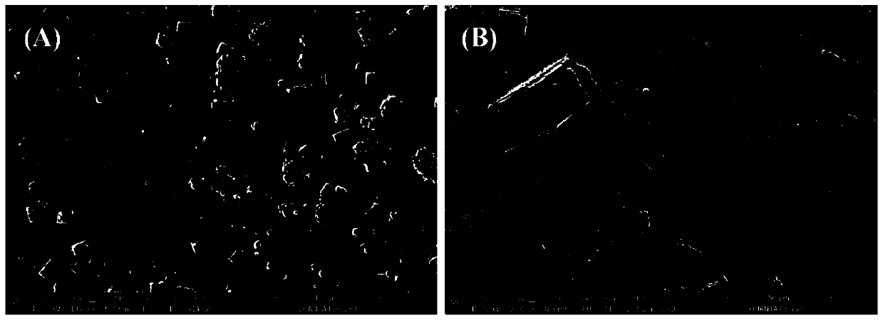 Relaxor ferroelectric ceramic with high electrocaloric effect at room temperature, and preparation method and applications thereof