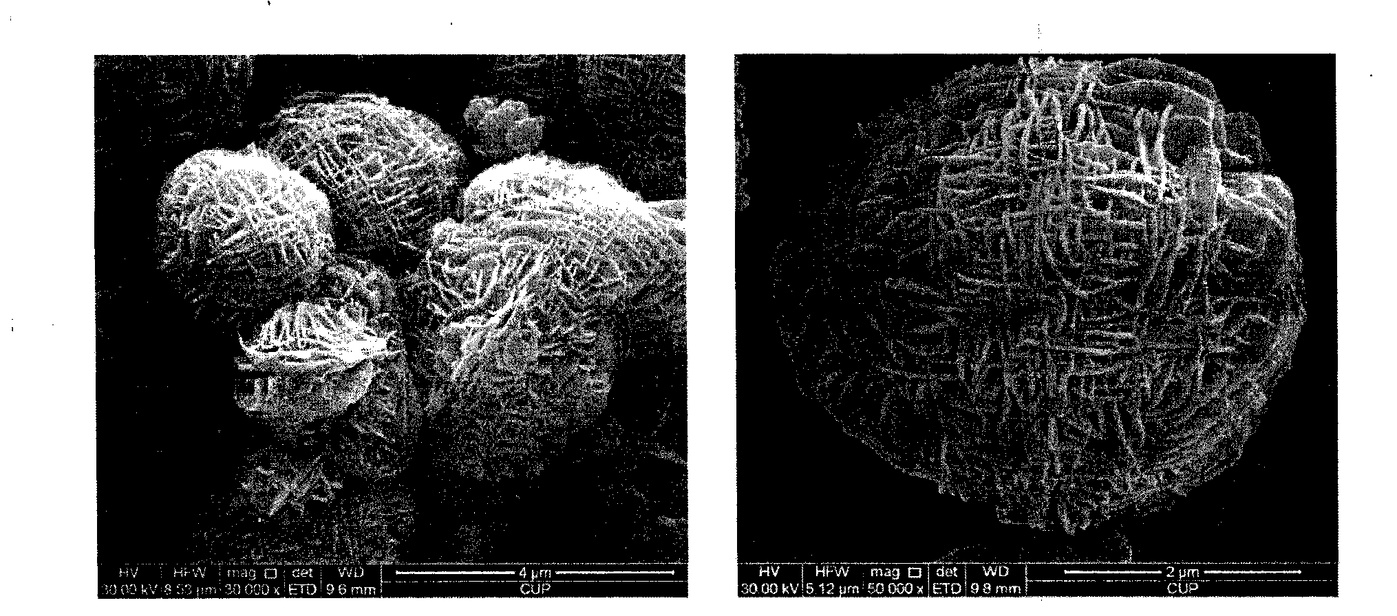 Method for preparing catalyst used for methanol/dimethyl ether high selectivity propylene preparation