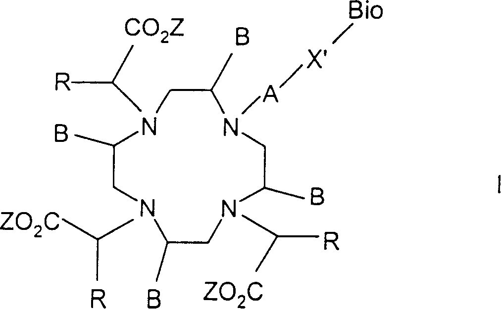 Conjugates of macrocyclic metal complexes with biomolucules and utilization thereof for producing agents for use in NMR diagnosis and radiodiagnosis and radiotherapy