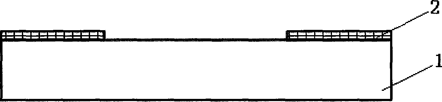 Processing method for nano-pole forest