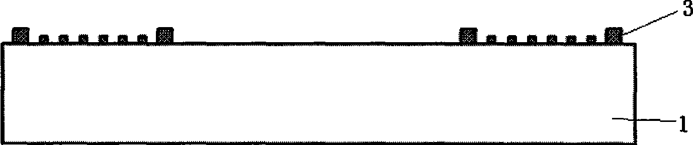 Processing method for nano-pole forest