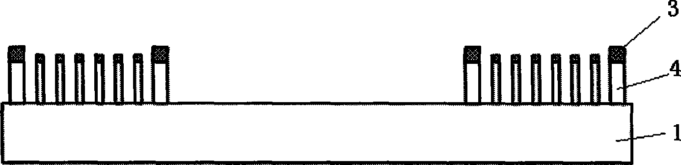 Processing method for nano-pole forest