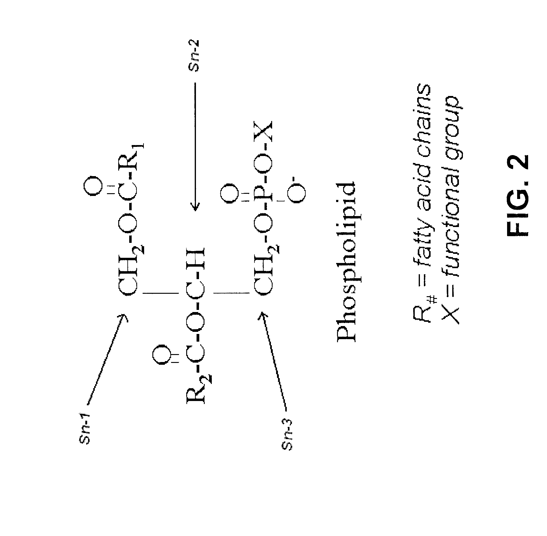 Generation of Triacylglycerols from Gums