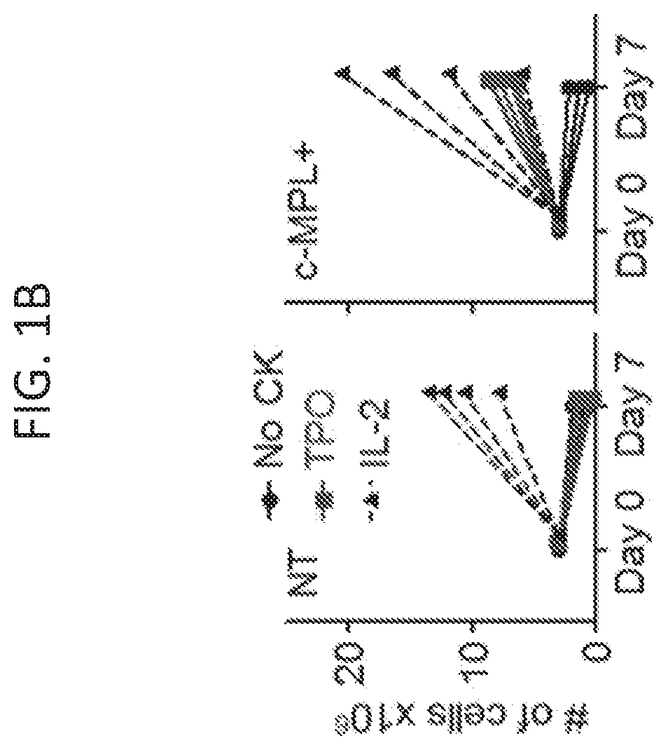 TRANSGENIC c-MPL PROVIDES LIGAND-DEPENDENT CO-STIMULATION AND CYTOKINE SIGNALS TO TCR-ENGINEERED T CELLS