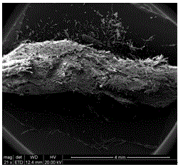 A kind of nano-micro ZnO/composite cellulose strip material and preparation method thereof