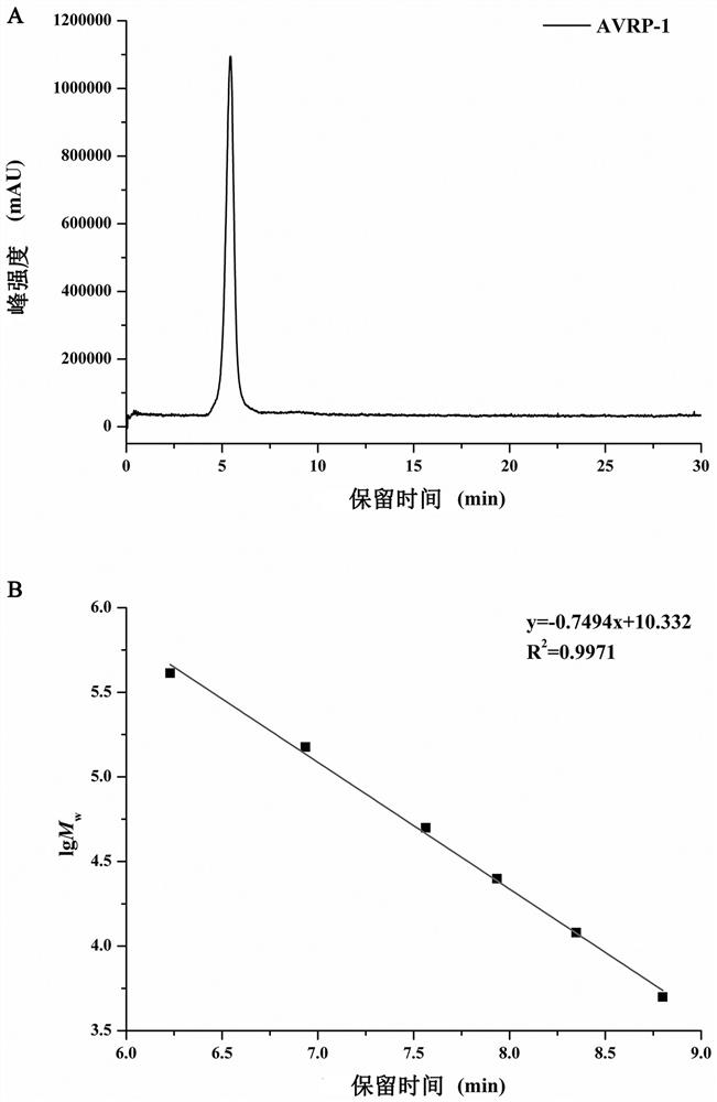 Amomum villosum rhizome polysaccharide as well as preparation method and antioxidant application thereof