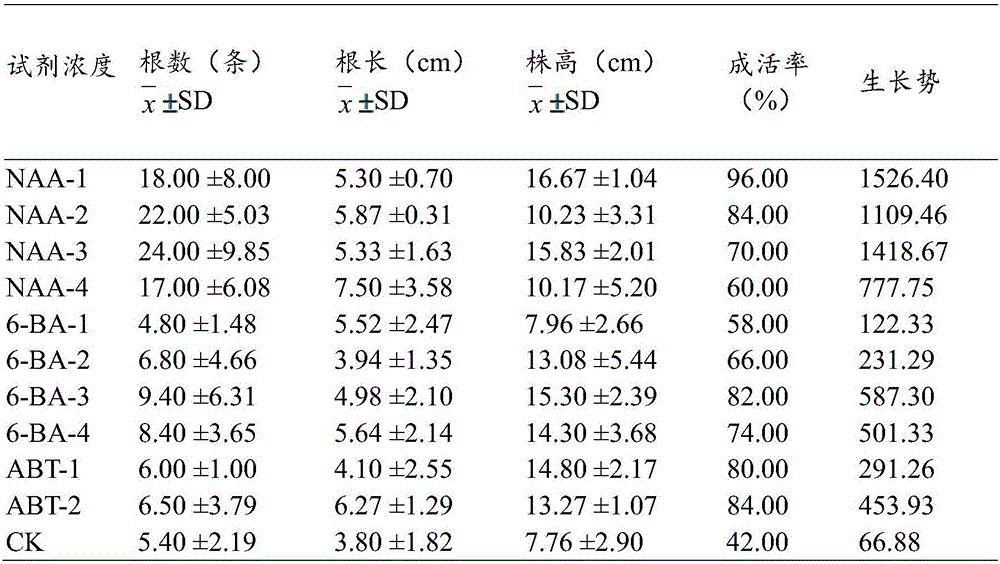 Cuttage reproduction method for gentiana rhodantha