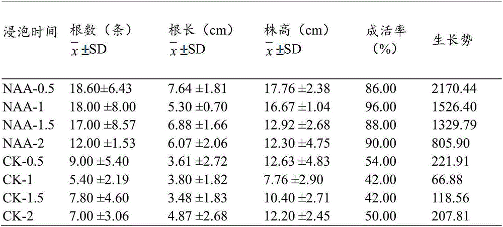 Cuttage reproduction method for gentiana rhodantha