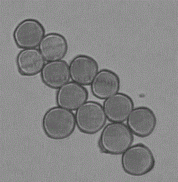 High-strength viscose fibers and preparation method and application of high-strength viscose fibers