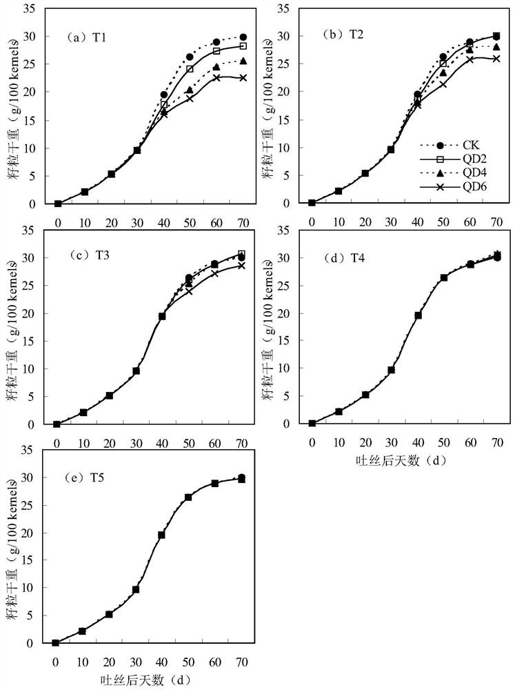 Canopy regulation and control method for improving mechanical kernel harvesting quality and kernel commodity quality of corns