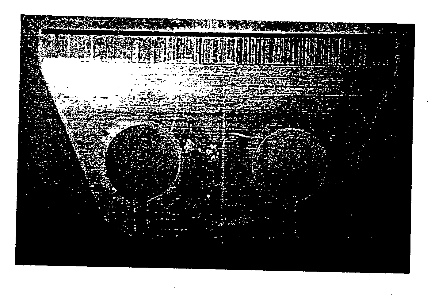 Compositions for cleaning and treating surgical devices