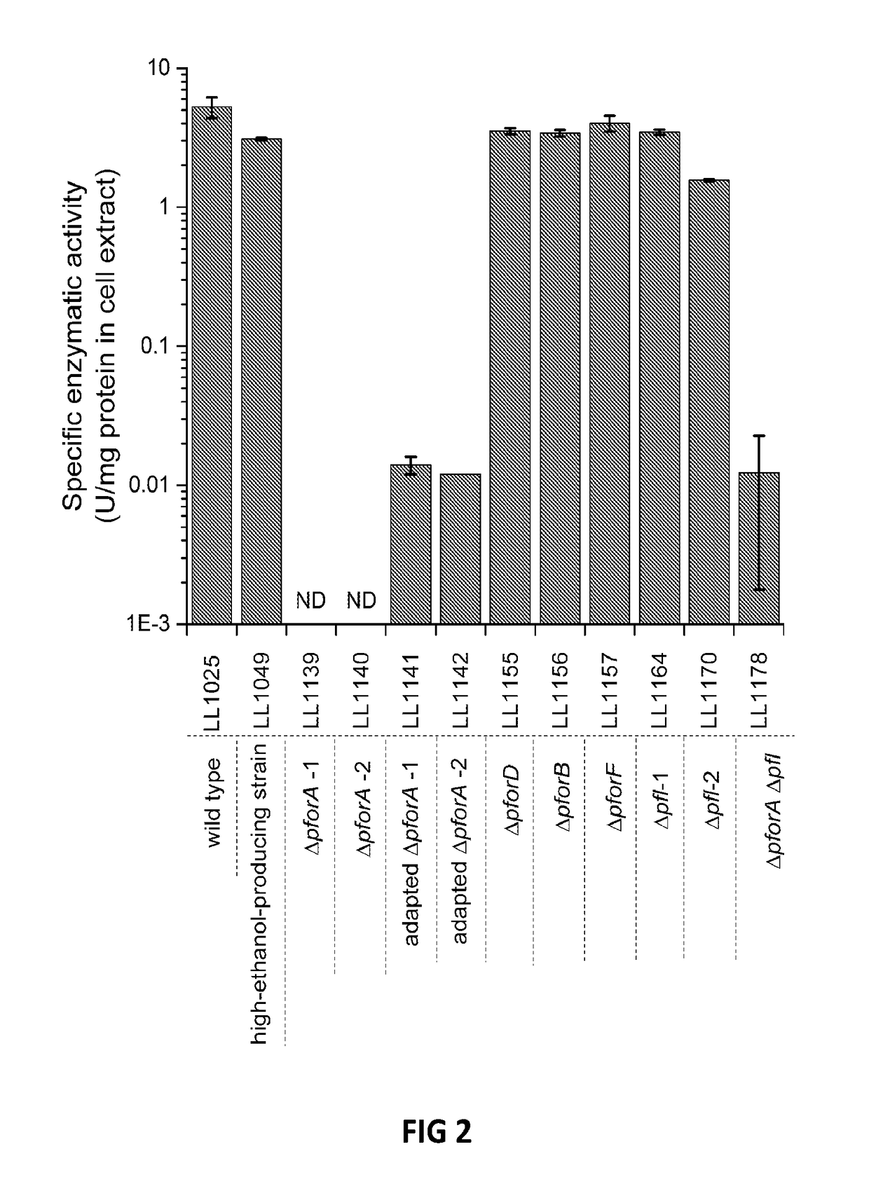 Thermophilic microorganisms for conversion of lignocellulosic biomass to ethanol