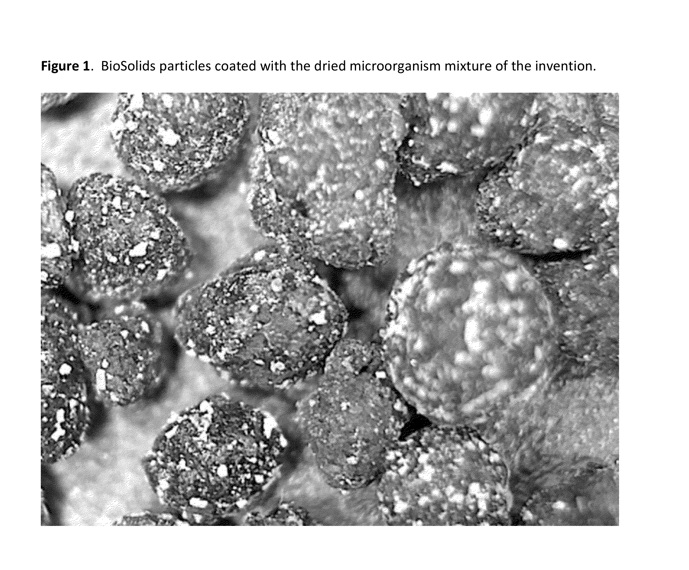 Fertilizer compositions methods of making and using same