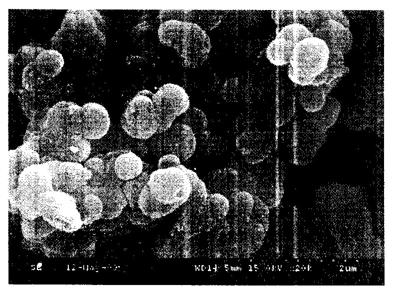 Mesoporous molecular sieve catalyst, preparation method thereof and application thereof in preparing aldehyde ketone