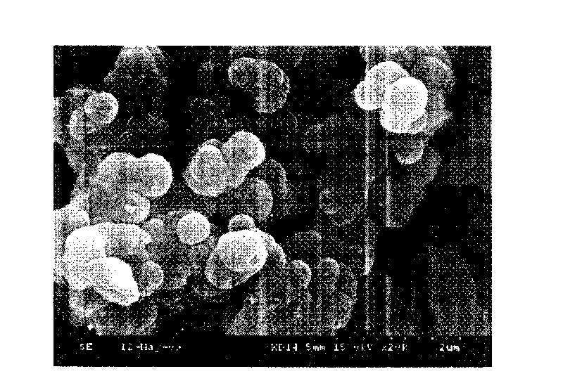 Mesoporous molecular sieve catalyst, preparation method thereof and application thereof in preparing aldehyde ketone