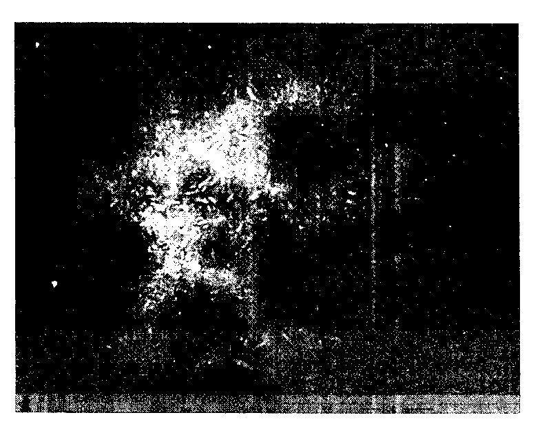 Mesoporous molecular sieve catalyst, preparation method thereof and application thereof in preparing aldehyde ketone