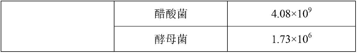 Solid Kefir dairy product and preparation method thereof