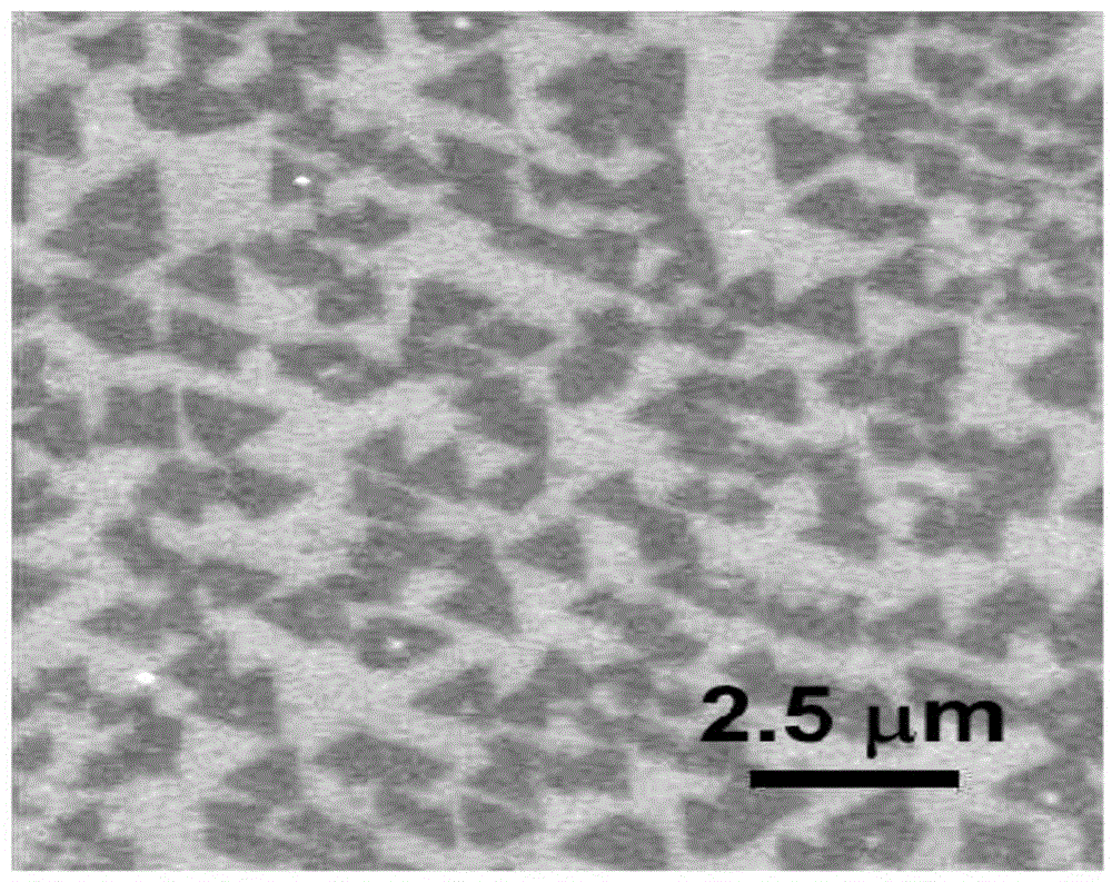 Method for preparing wafer-grade large-size hexagonal boron nitride on substrate